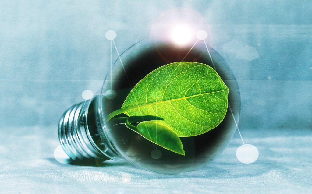 Nachhaltig Self-Hosting piro4d lightbulb 2632075 1280